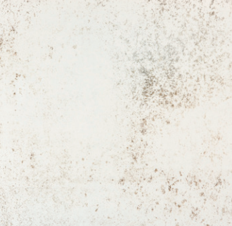 Screenshot 2024-11-12 113136.png